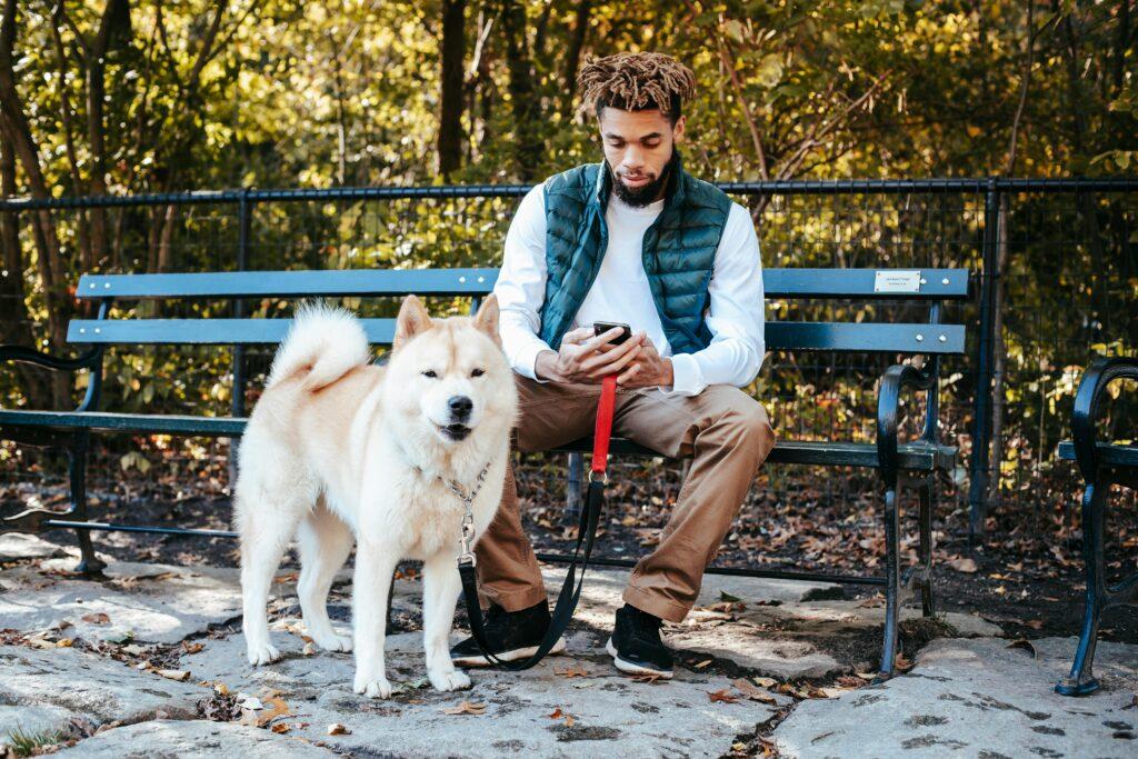 a men sreaching for  Mobile Pet Grooming